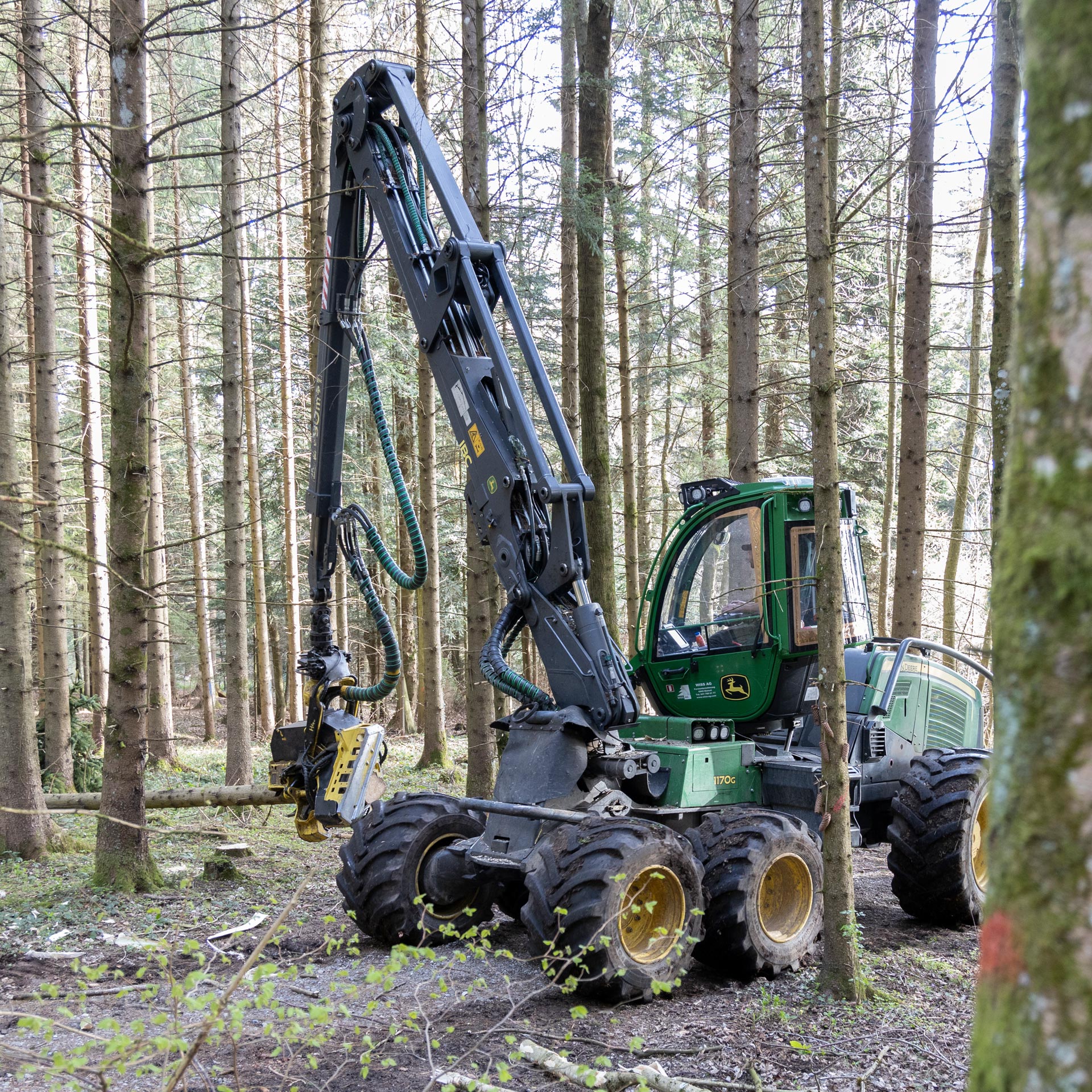 wiss-ag-dietwil-dienstleistungen-holzernte-waldpflege_L7A8547