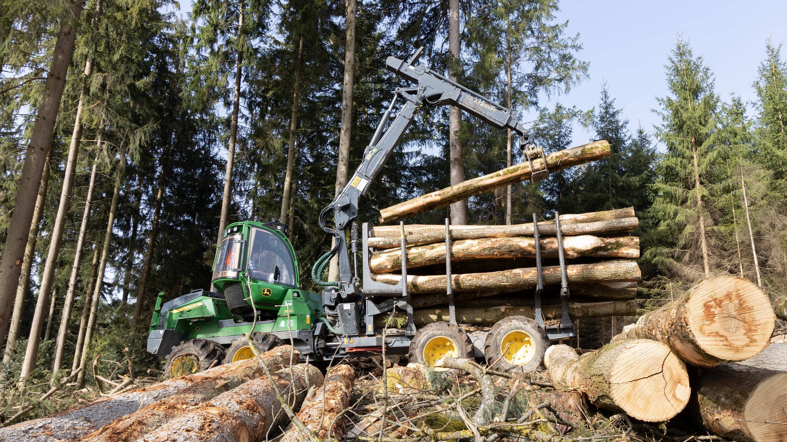wiss-ag-dietwil-dienstleistungen-holzernte-waldpflege_L7A8657