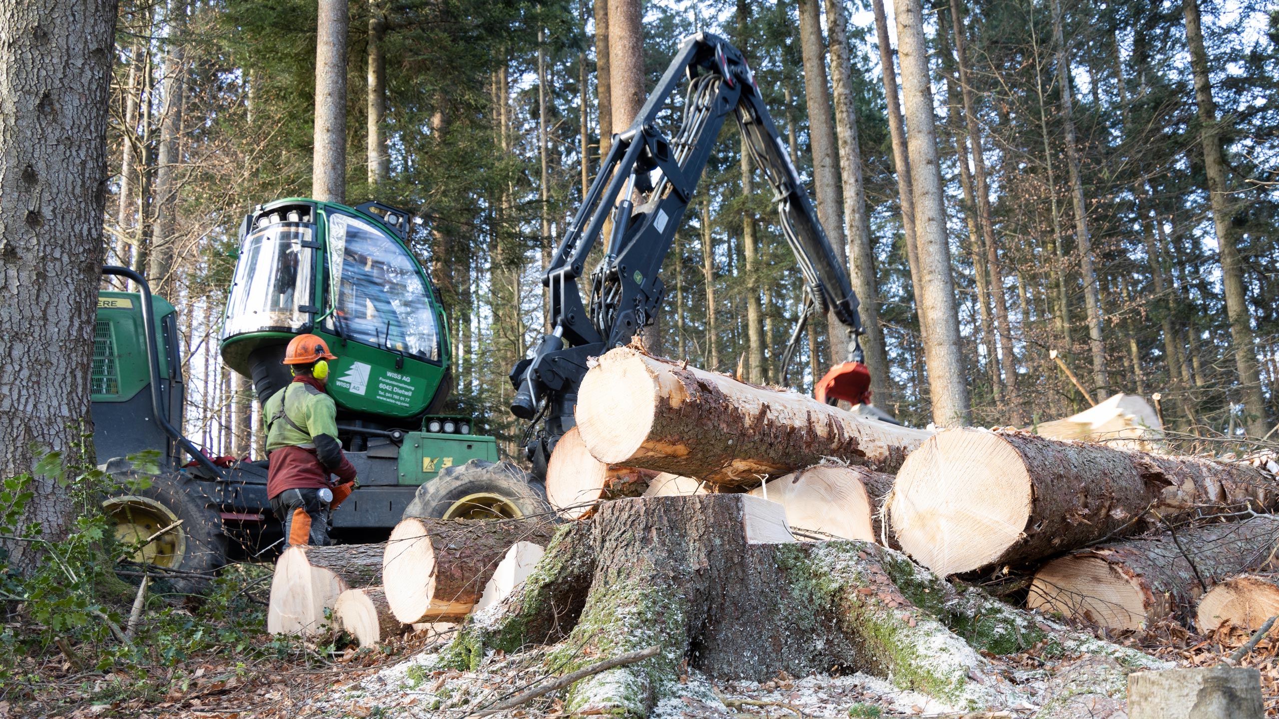 wiss-ag-dietwil-dienstleistungen-waldbewirtschaftung_L7A8248
