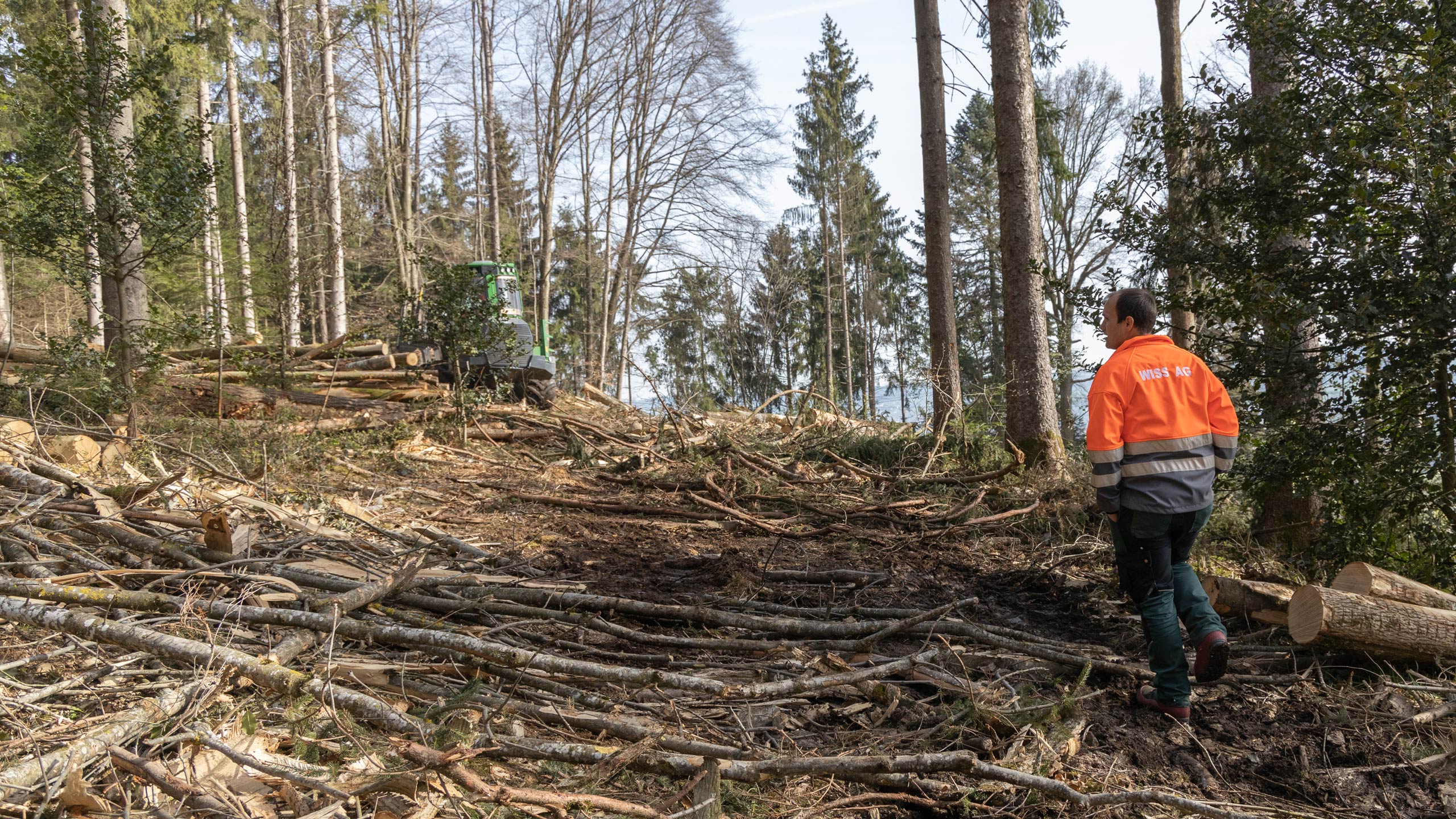 wiss-ag-dietwil-dienstleistungen-waldbewirtschaftung_L7A8611