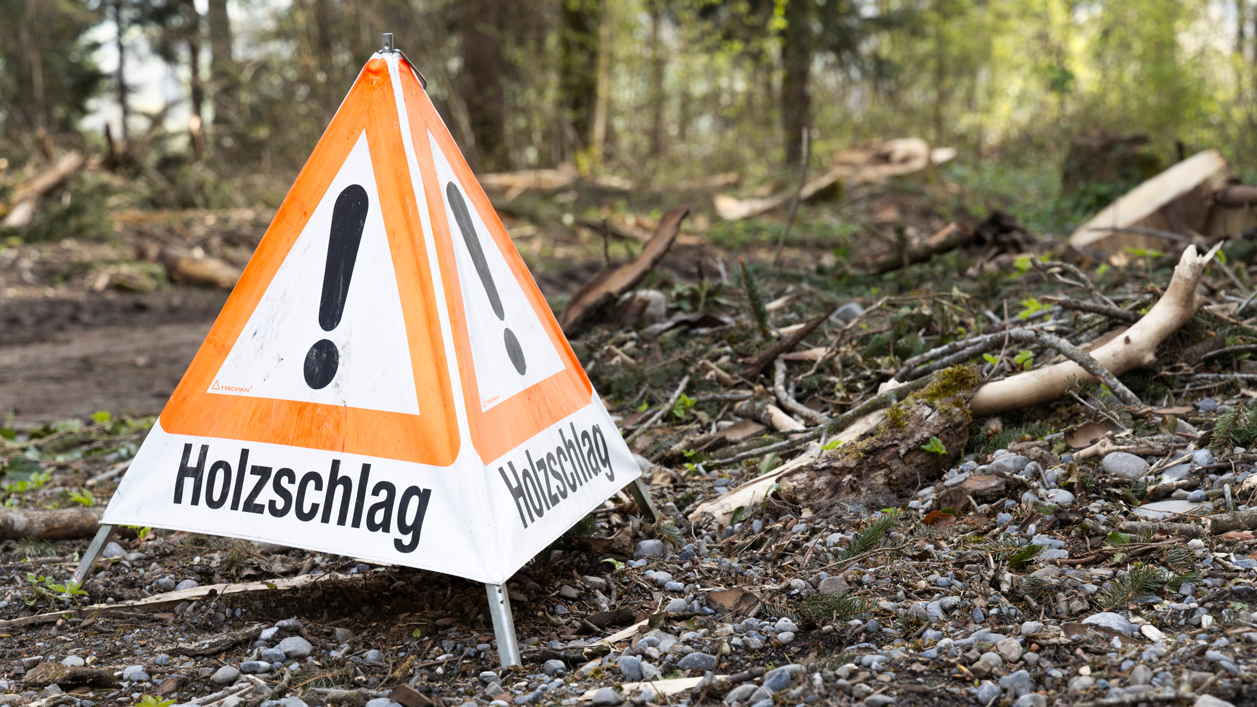 wiss-ag-dietwil-dienstleistungen-waldbewirtschaftung_L7A8755