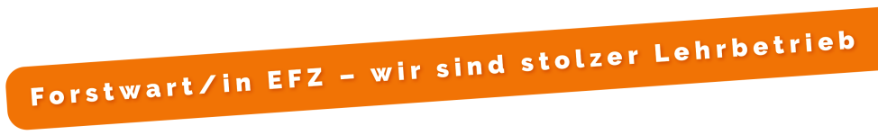 wiss-ag-dietwil-ueber-uns-statement-forstwart-in-efz